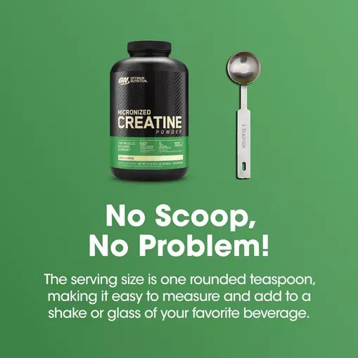 Optimum Nutrition Micronized Creatine Powder Unflavored 1.32 lb (120 Servings) Creatine Powder | 09524HTPJ