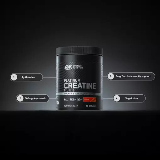 Optimum Nutrition Platinum Creatine Plus Pineapple 350 grams (50 Servings) Creatine Powder | 62183QVWN